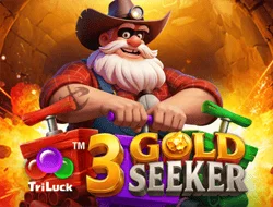 3 Gold Seeker – Spielmotiv